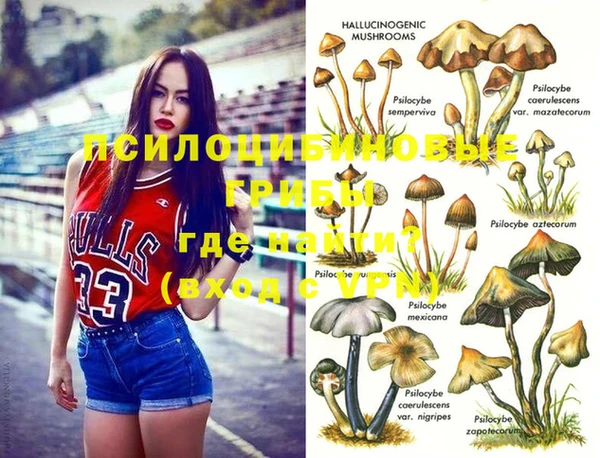 амф Абинск